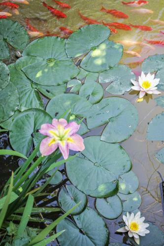 Apartamento Oltre Il Giardino