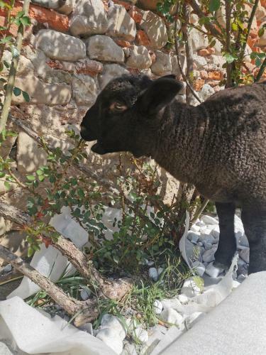 Agroturismo Tenuta San Giorgio