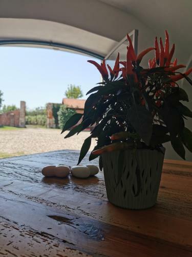 Agroturismo Tenuta San Giorgio