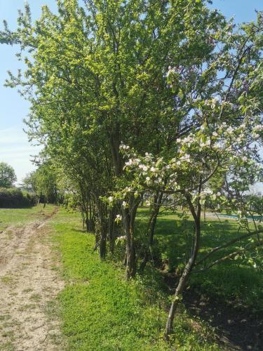 Agroturismo Tenuta San Giorgio