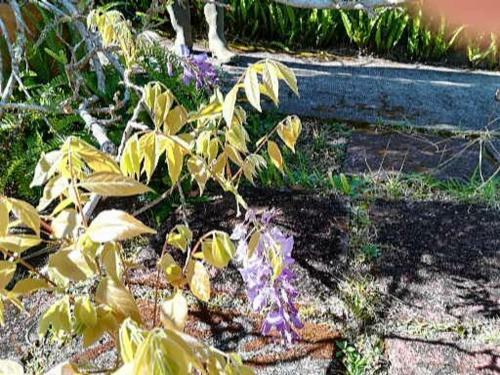 Bed & Breakfast L'estagnon
