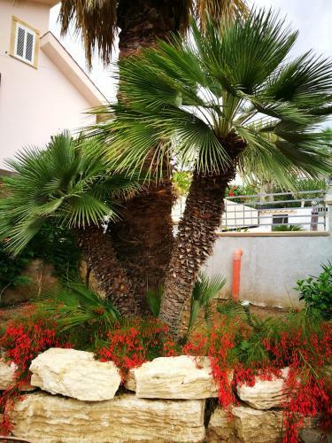 Apartamento Timpi Russi - La Palma