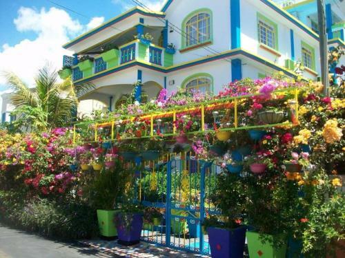 Apartamento Lapiroguevilla[tourist Resident]