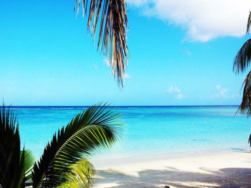 Apartamento Beach Cove 4