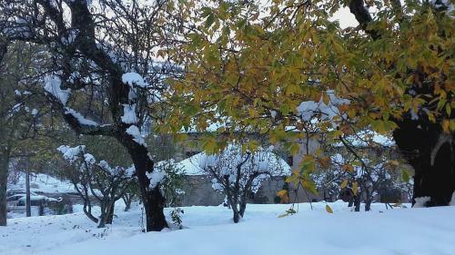 Bed & Breakfast Fattoria La Guedrara