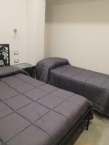 Agroturismo Agriturismo B&B Dal Professore