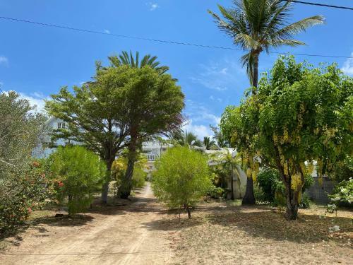 Villa & Bungalow 'coco Des Sables' Les Pieds Dans L'eau