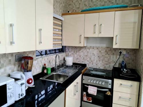 Beautiful 1bed Apartment In Adenta Wifi