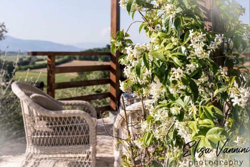Apartamento Bilocale Di Villa S Marco Con Piscina