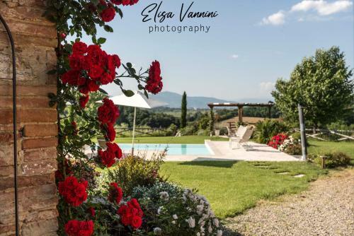 Apartamento Bilocale Di Villa S Marco Con Piscina