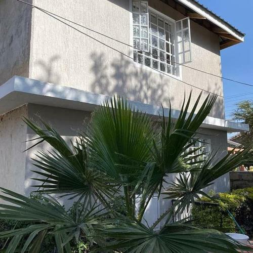 Lake View 1 Br Apartment, Naivasha.