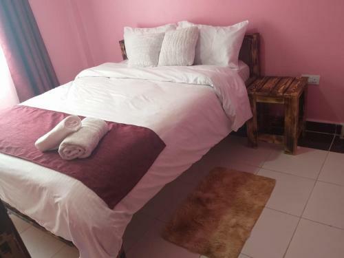 Kipepeo Apartments 254