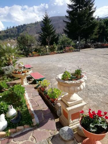 B&B Passo Del Falco
