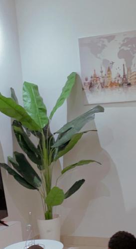 Apartamento Tr�s Beau Appartement F2