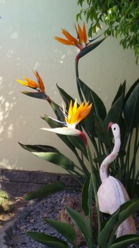 Bed & Breakfast Pension D'avignon