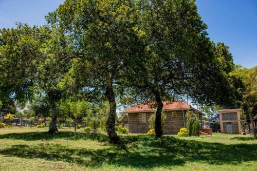 Ol Marei Home