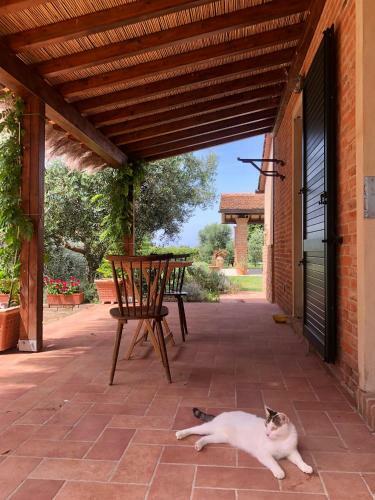 Hostal Le Colonne