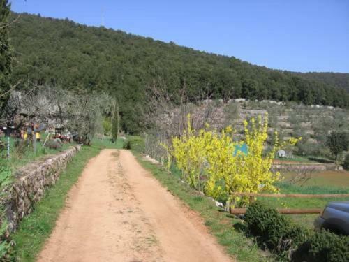 Hostal Bioagriturismo Ficareto