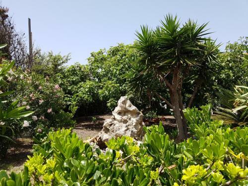 Villa Secchi Sul Mare
