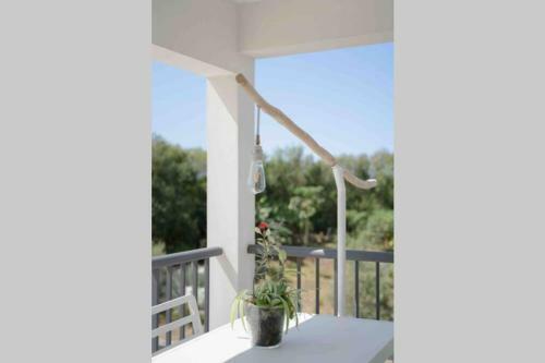 Apartamento Ti-punch T3 Climatis� Manapany Les Bains
