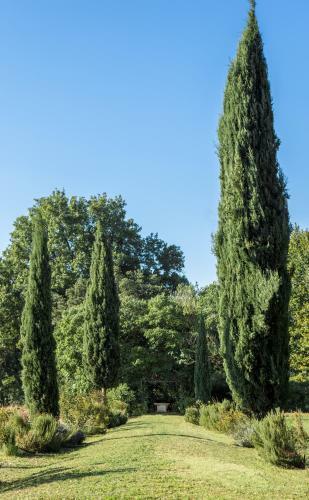 Hostal Villa Pandolfi Elmi