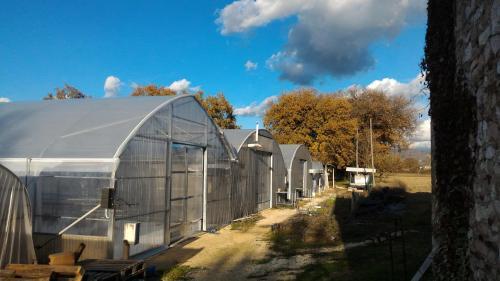 Agroturismo Agriturismo " Le Serre"