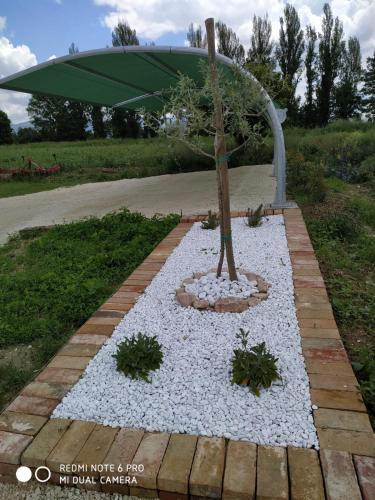 Agroturismo Agriturismo " Le Serre"