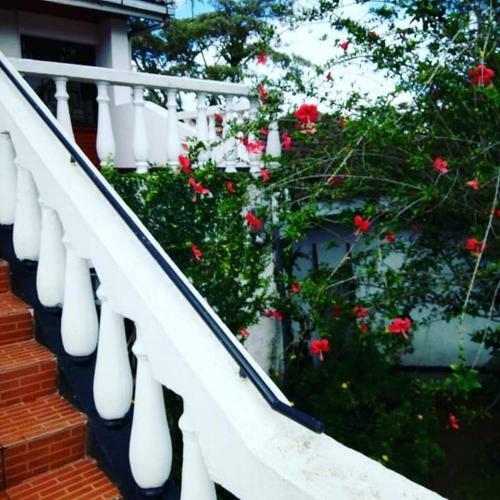 Stay.plus Marura Holiday Villa Nakuru