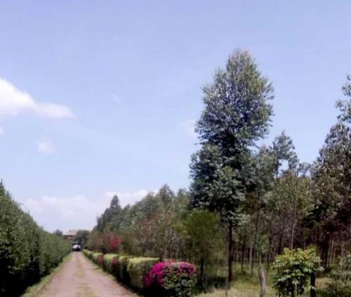 Stay.plus Marura Holiday Villa Nakuru