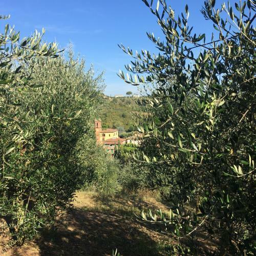 Agroturismo Villa Caprera