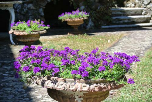 Agroturismo Villa Caprera