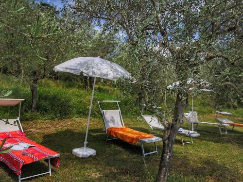 Agriturismo Villa Caselunghe - Siena