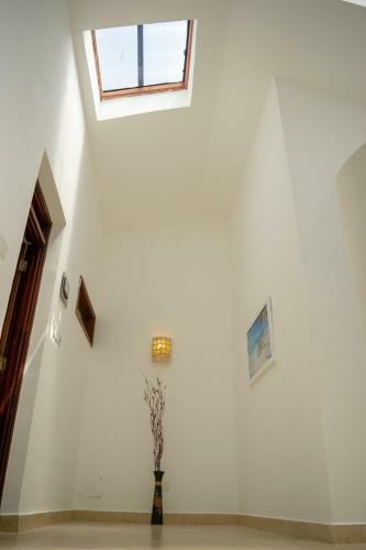 Ocean Front Apartments At La Mera