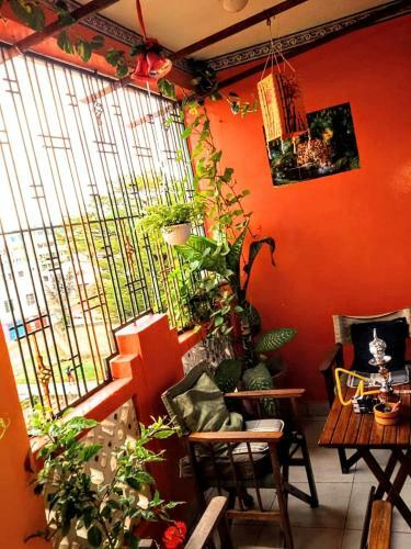 Nyali Prestige Furnished Apartments