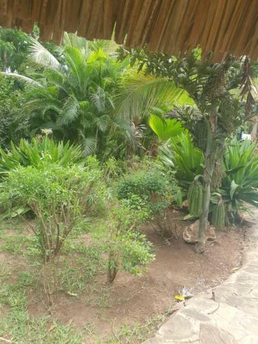 Apartamento Ellina Properties