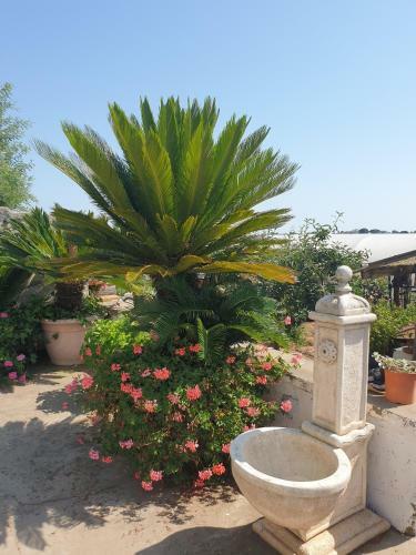 La Casa Delle Bambole Vicino Al Lago E Al Mare