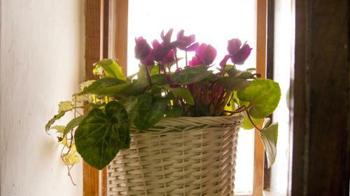 Apartamento Casavacanze Belvedere Sperlonga