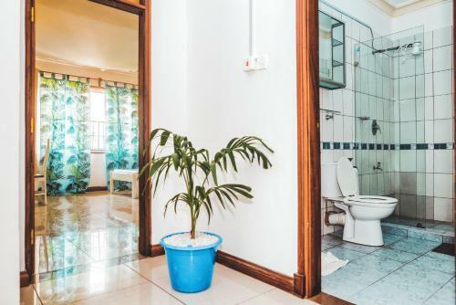 Beachfront Furnished Apartments With Swimming Pool