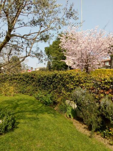 B&B Rosalu - Adults Only