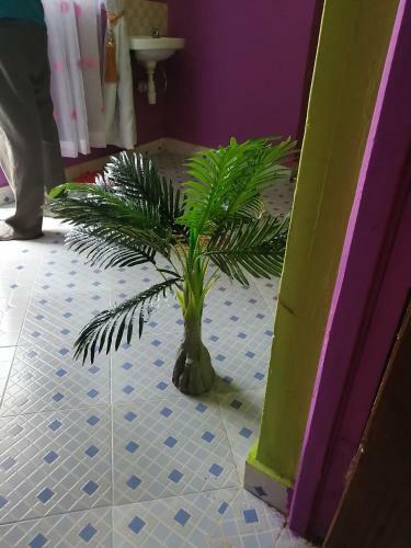 Apartamento Charliejos Home Ad Away