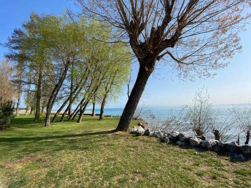 Apartments In Sirmione/gardasee 22559