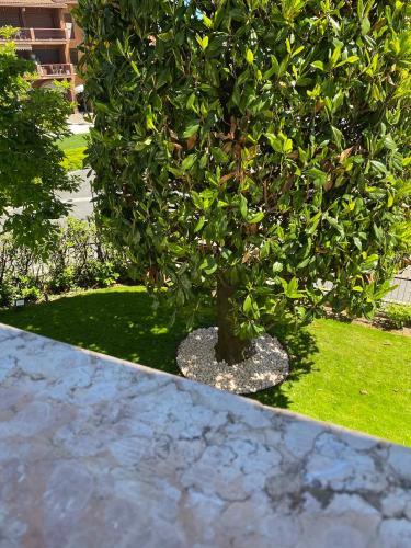 Apartments In Sirmione/gardasee 22559