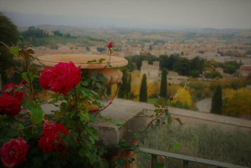 "sweet Ginevra" Apartment Spoleto
