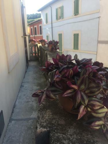 Apartamento Ztl ( Zona Tempo Libero )