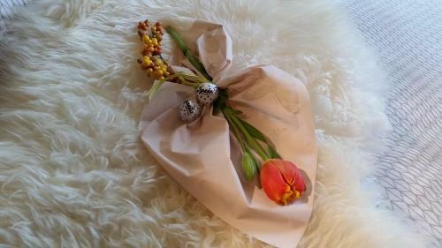 Apartamento La Terrazza