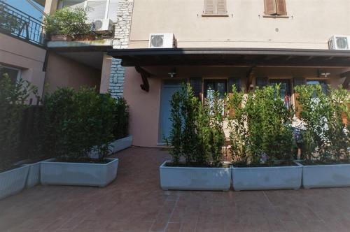Apartamento Alloro Appartamento 1 - Piano Terra Con Terrazza.