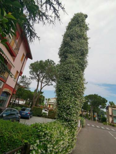 La Perla Apartment