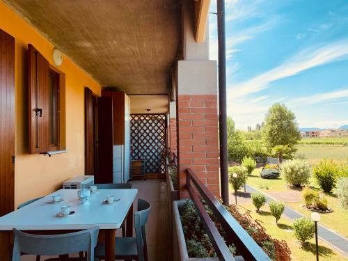 Cedro Apartment - Gardacase Net