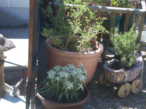Apartamento Haus Cornelia