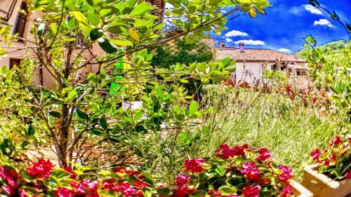 Apartamento Spoleto Bellasleeps 4spoletocar Not Necessary